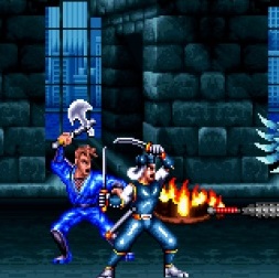 Ninja Combat