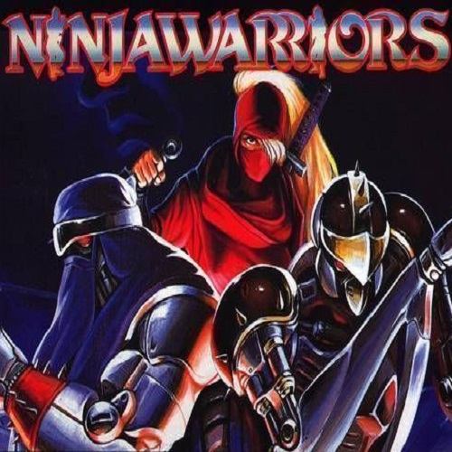 The Ninja Warriors