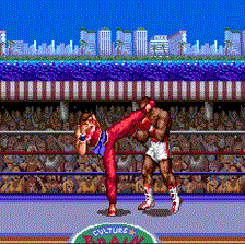 Ultimate Fighter