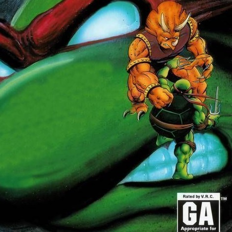 Teenage Mutant Ninja Turtles: Tournament Fighters