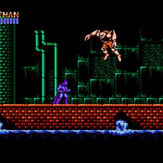 Batman: Das Videospiel