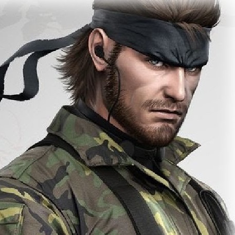 Snake's Revenge
