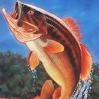 TNN Bass Tournament of Champions