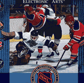 NHL Hockey 91