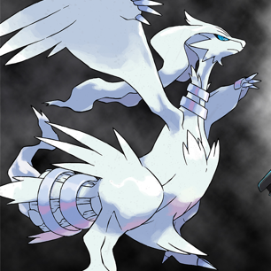 Pokémon Versione Nera