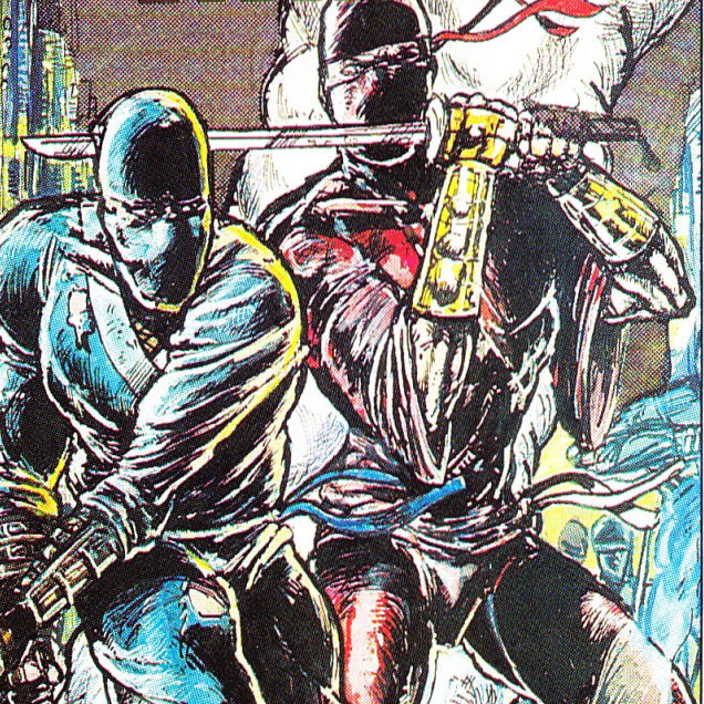 The Ninja Warriors Again